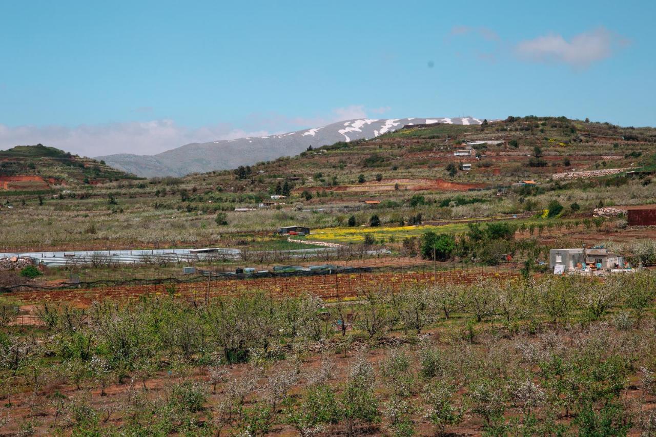 Villa Grand Golan à Buq'ata Extérieur photo